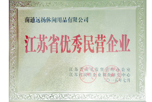 優(yōu)秀民營企業(yè)-遠(yuǎn)揚