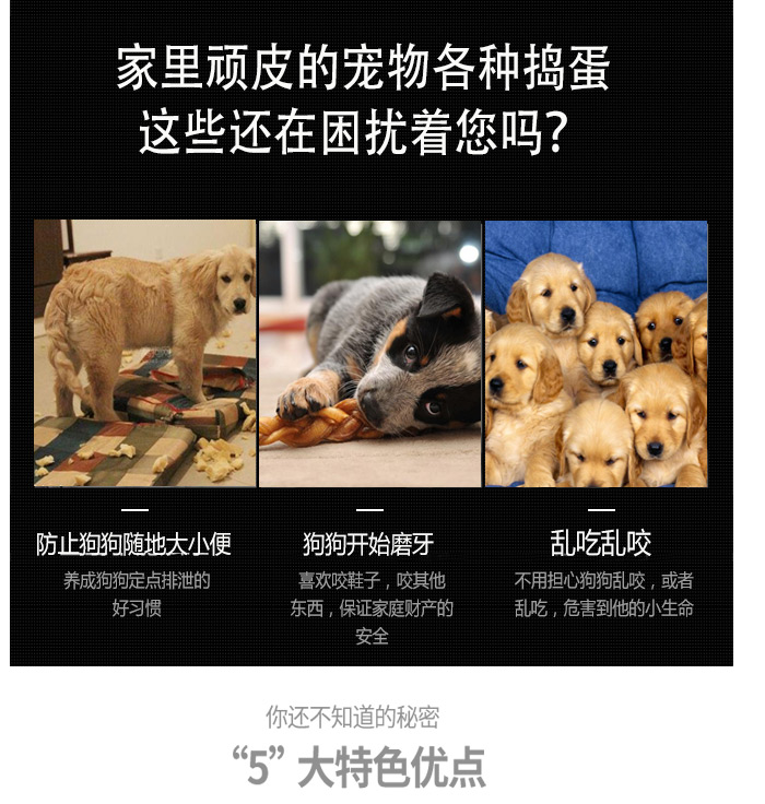 生產(chǎn)寵物籠廠家 生產(chǎn)寵物籠廠家